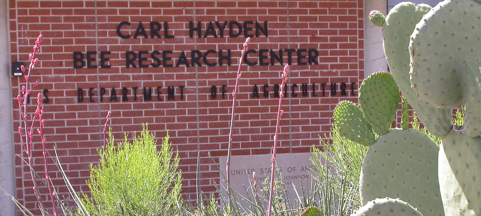Carl Hayden Bee Research Center-Tucson AZ
